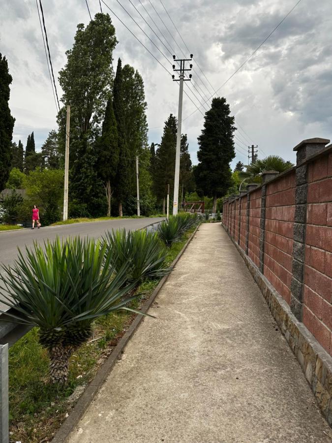 Anastasia Gudauta Exterior photo